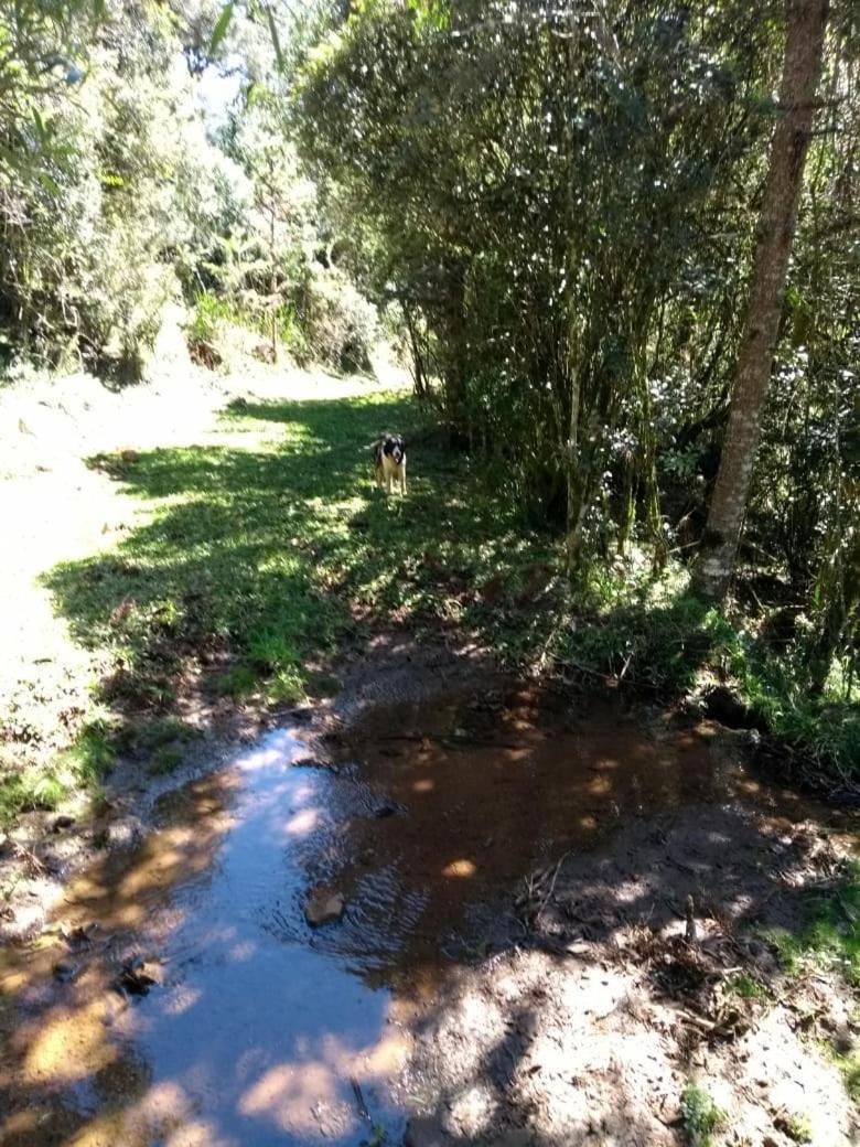 Fazenda Morro Das Torres Urupema Exterior foto